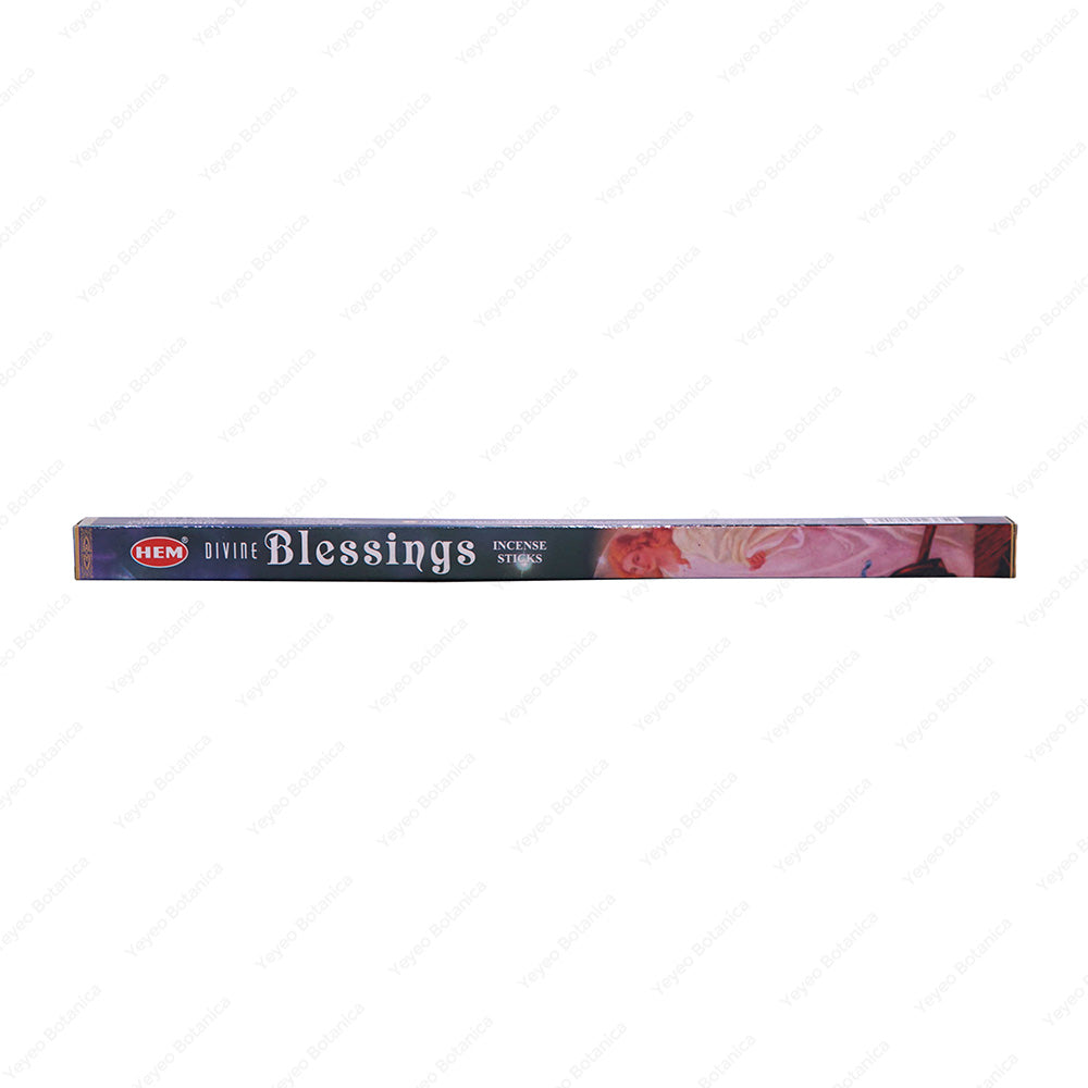 Divine Blessing Stick