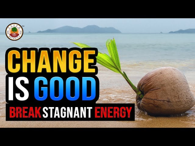 Stagnation Release DIY Cleansing*