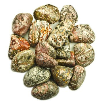 Leopard Jasper