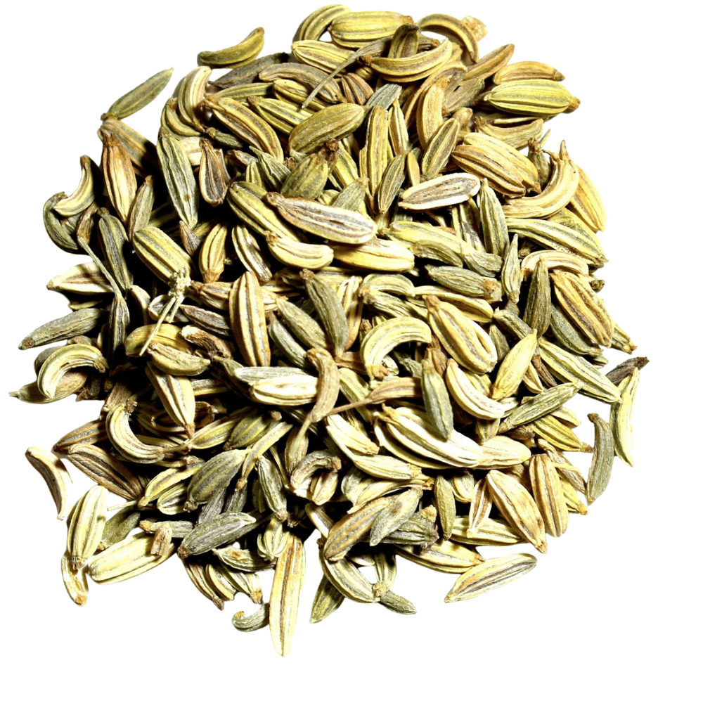Fennel Seed - Yeyeo Botanica