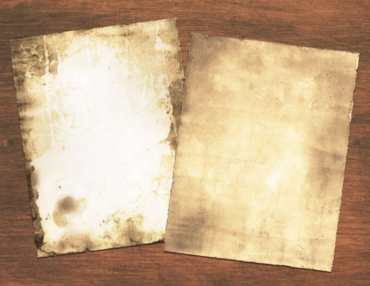 Parchment: Timeless Tales and Transcendent Rituals - Yeyeo Botanica