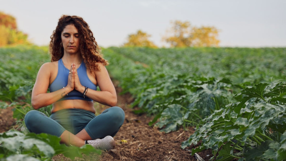 How Do I Rid My Home of Negative Energy? - Yeyeo Botanica