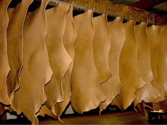 Lamb Skin Parchment: Ancient Pages of Power and Potential - Yeyeo Botanica