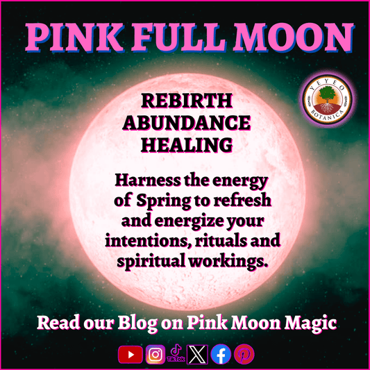 Pink Full Moon Magic - Yeyeo Botanica