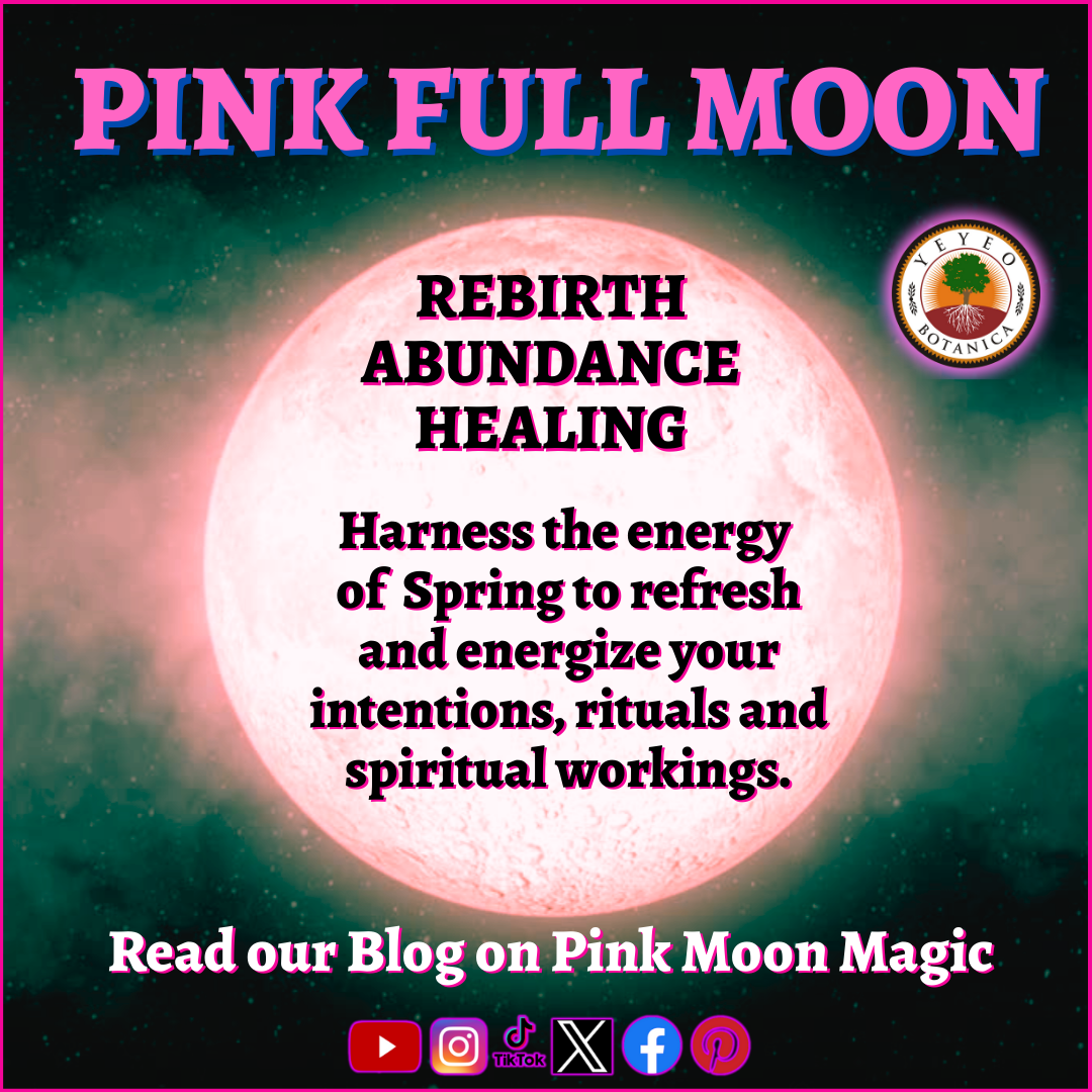 Pink Full Moon Magic – Yeyeo Botanica