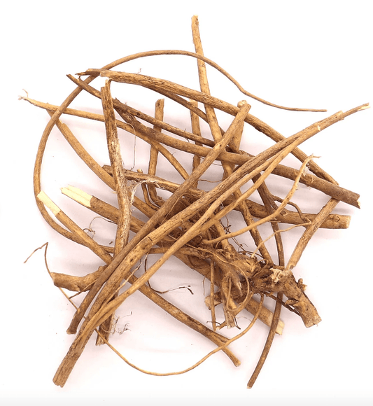 Devil's Shoestring - Yeyeo Botanica
