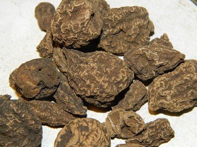 High John & Little John Root 101 - Yeyeo Botanica