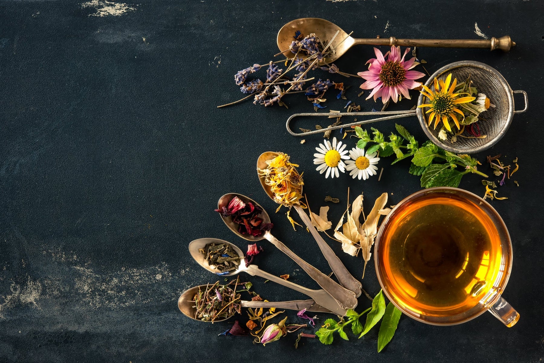 What is the Difference Between Herbs and Botanicals?