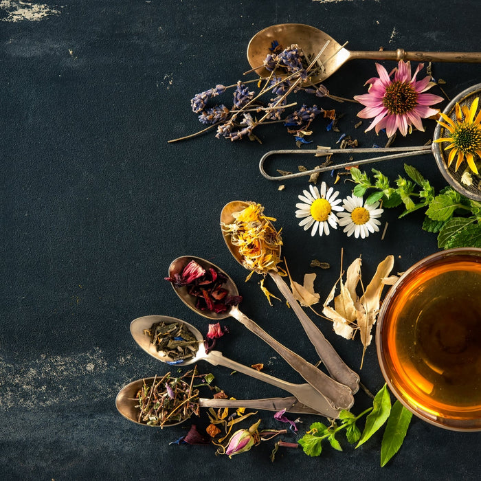What is the Difference Between Herbs and Botanicals?