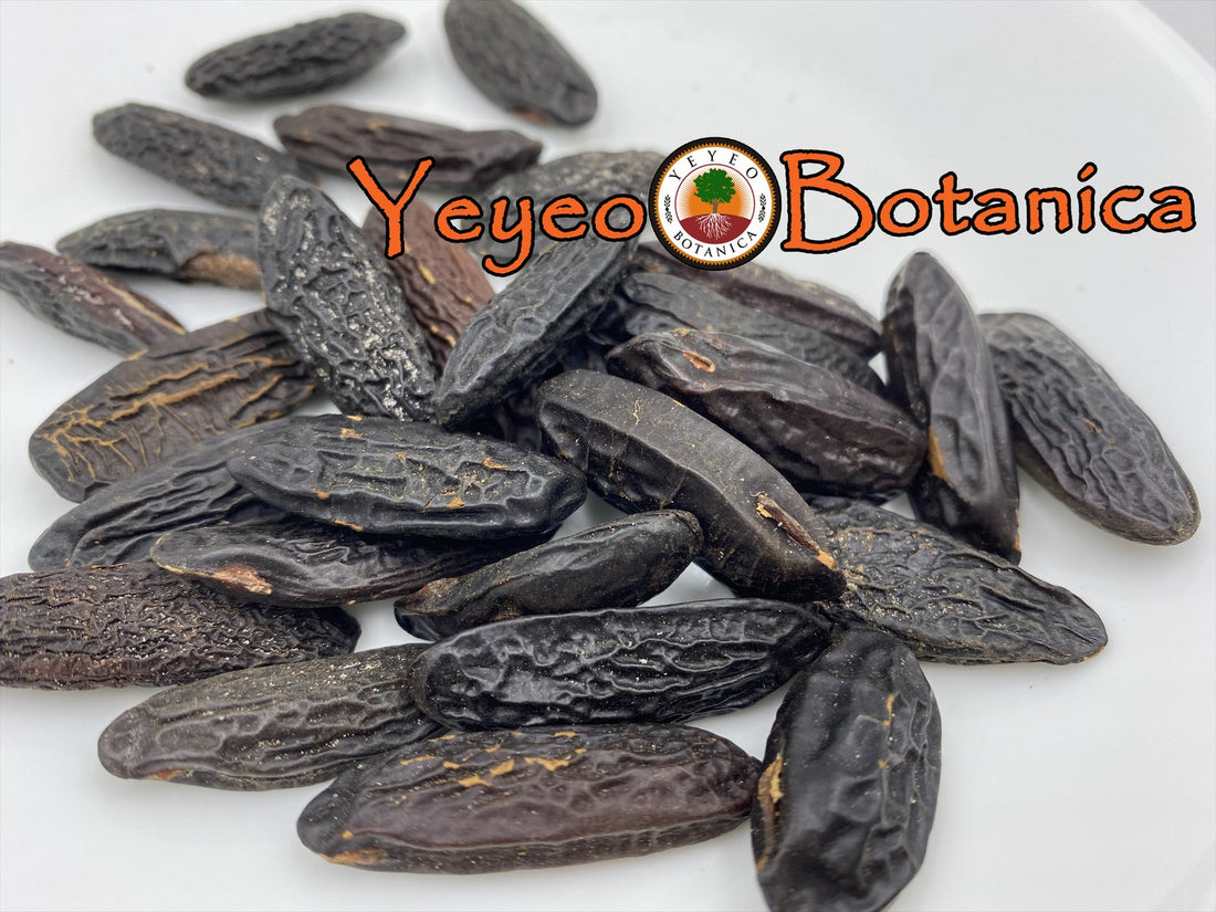 Tonka Bean Magic 101 with Yeyeo Botanica
