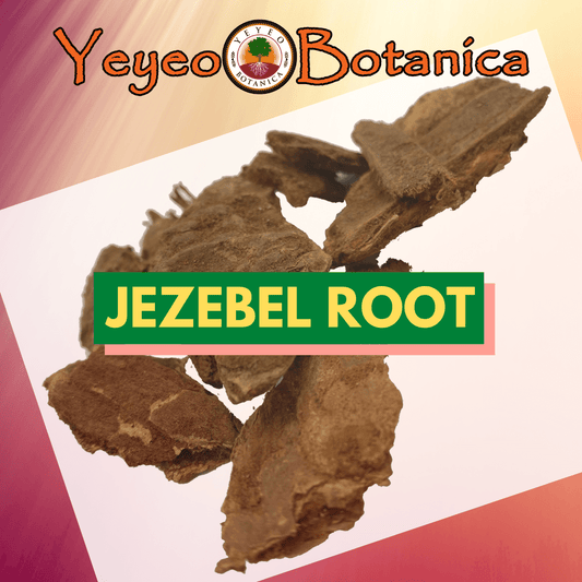 Jezebel Root for Money Drawing - Yeyeo Botanica