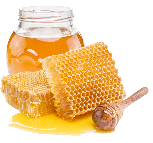 Honey: Liquid Gold of Spirituality and Healing