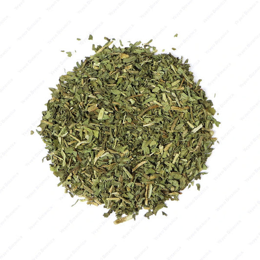 Dandelion Leaf
