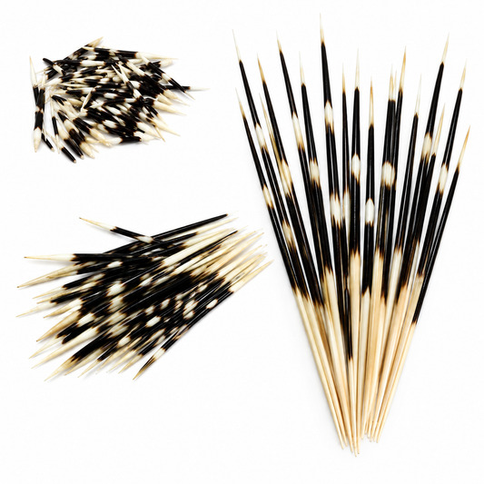 Porcupine Quills