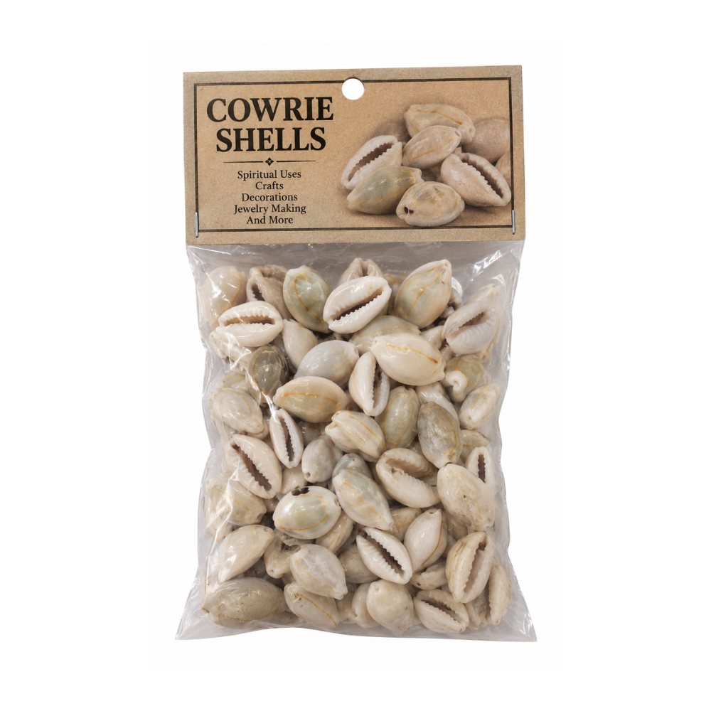 Ring Top Cowrie Shells Pack