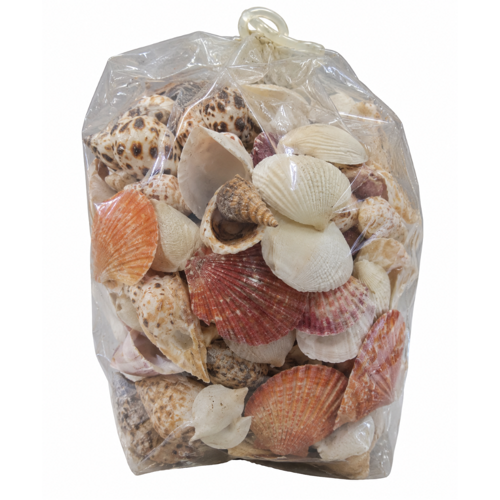 Sea Shell Mix In Vinyl Bag - Large