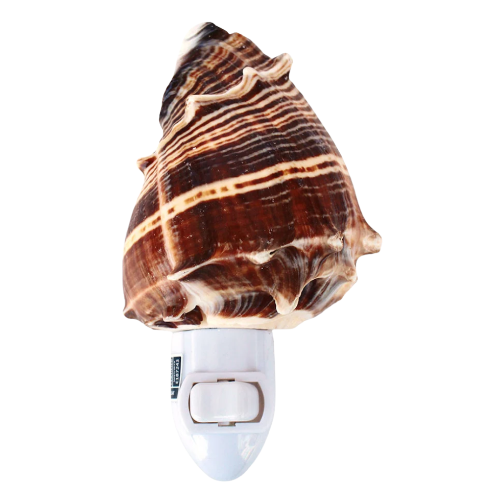 Seashell Night Light
