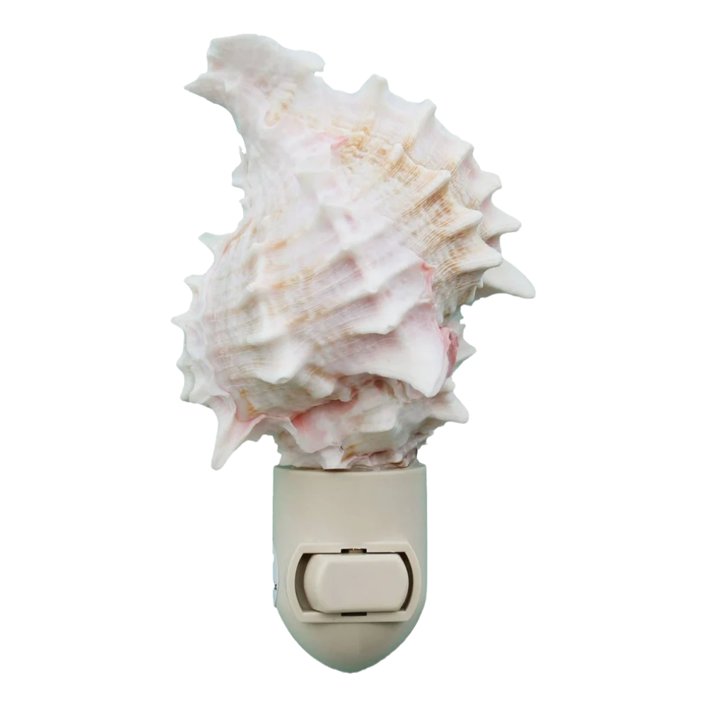 Seashell Night Light