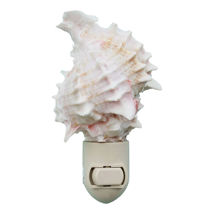 Seashell Night Light