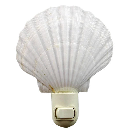 Seashell Night Light