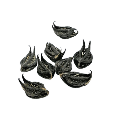 Bat Head Root