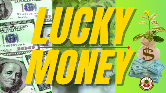 Lucky Money™ Magick Kit
