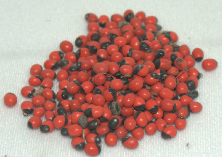 Peronia Seeds-Semilla de Peonia