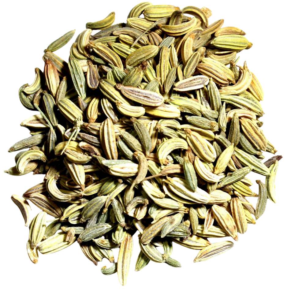 Fennel Seed